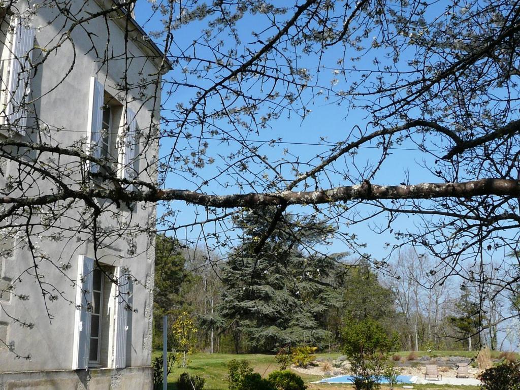 Château de la Comtesse Saint-Martin-Petit Exterior foto